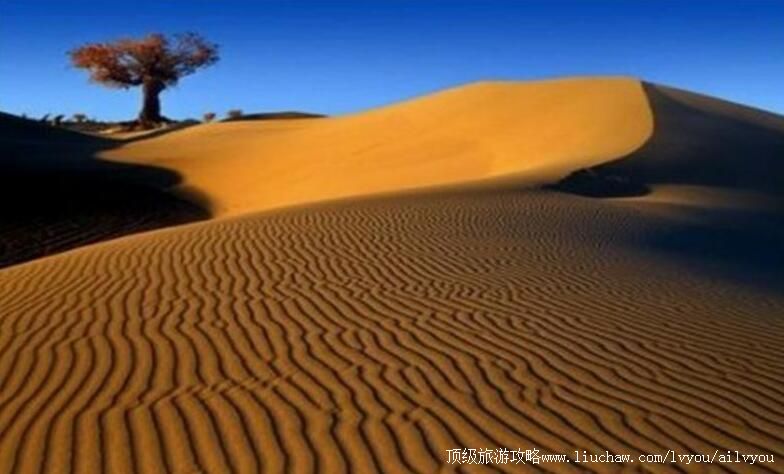 4A新疆达瓦昆旅游风景区旅游攻略