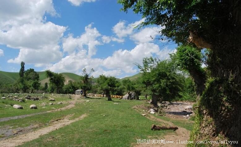 新疆萨尔布拉克怪榆沟旅游攻略