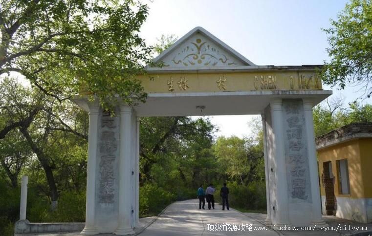 2A�½����տ˴����ֶȼٴ����ι���