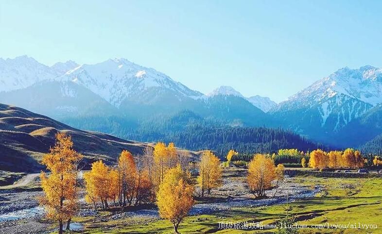 3A新疆巩留塔里木景区旅游攻略