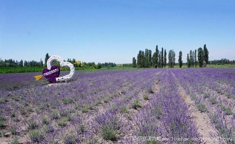 3A�½����Ǻ��ҹ���޹�²�԰���ι���