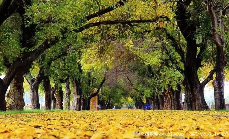 3A�½�����˿·ũɣ԰���ι���