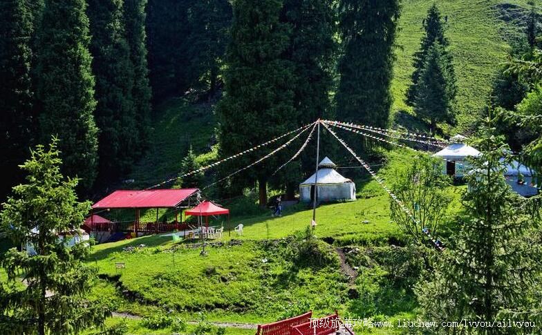 3A新疆伊犁白石峰琼博拉森林公园旅游攻略