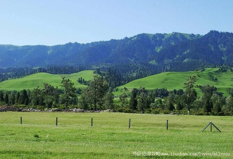 3A新疆伊犁那拉提草原旅游攻略