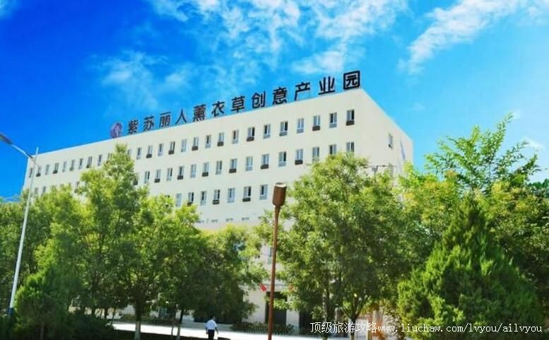 3A新疆伊犁紫苏丽人薰衣草创意产业园旅游攻略
