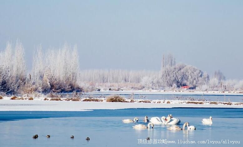 3A新疆伊宁天鹅泉湿地公园旅游攻略