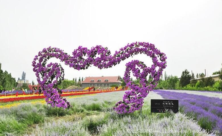 4A新疆伊犁解忧公主薰衣草园旅游攻略