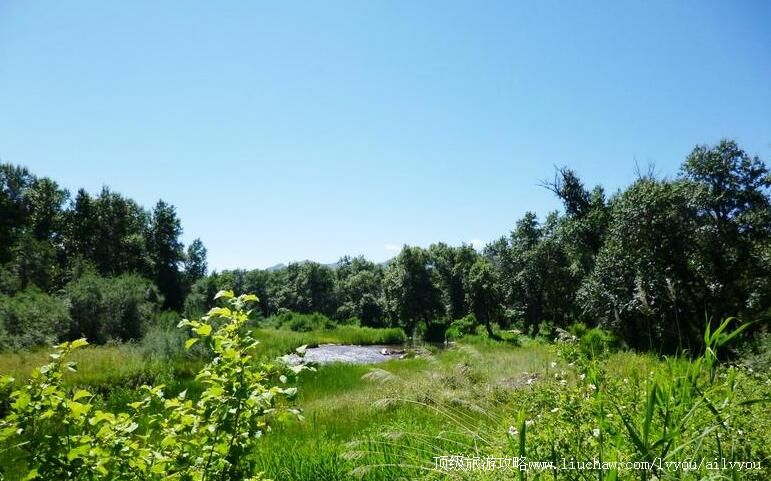 4A新疆伊犁尼勒克湿地古杨风景区旅游攻略