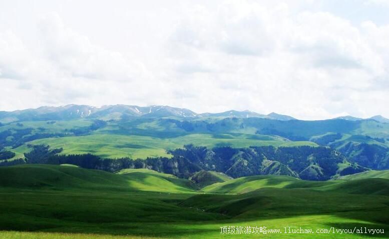 4A新疆伊犁托乎拉苏风景区旅游攻略