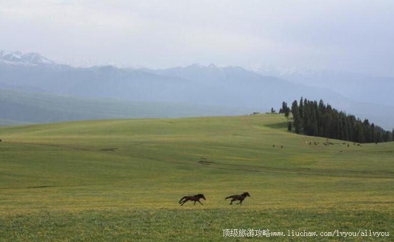 5A�½���������ԭ���ι���