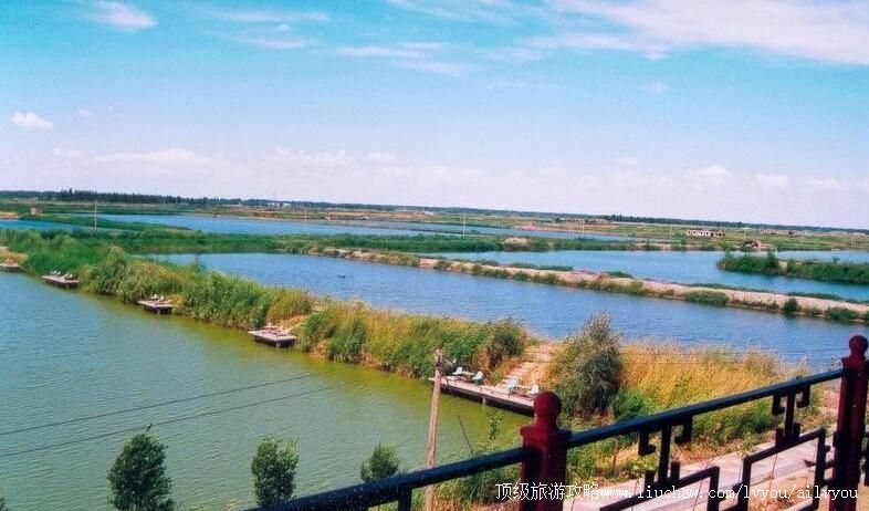 1A新疆乌鲁木齐六十户乡生态渔村旅游攻略