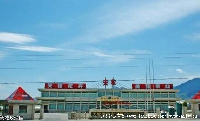 2A新疆天牧玫瑰园旅游攻略