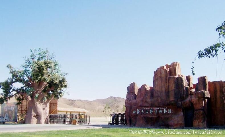 4A新疆天山野生动物园旅游攻略