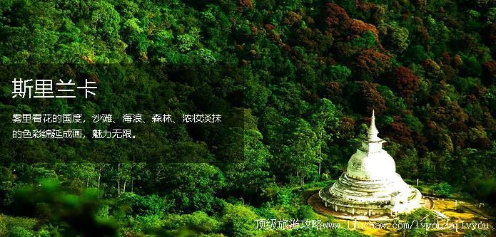 ˹������ �������棺5��