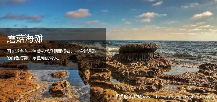 ӡ�������� �������棺7��