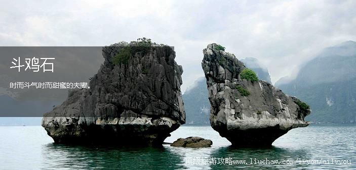 Խ�� �������棺2��