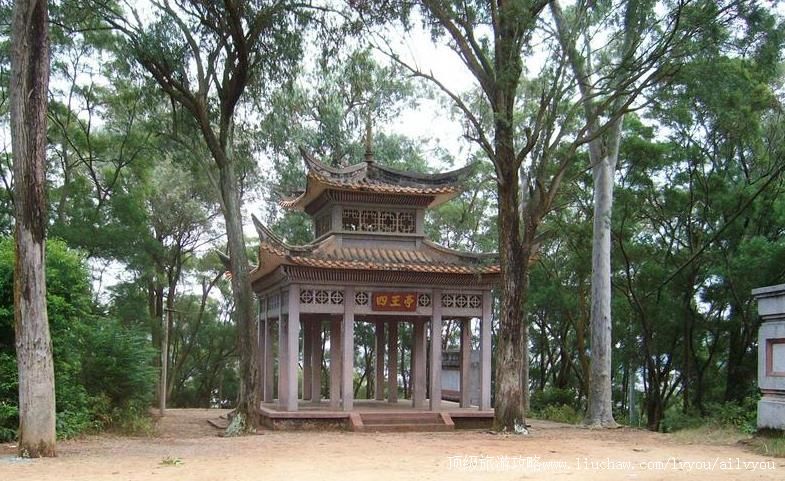 ������������ͤ���ι���