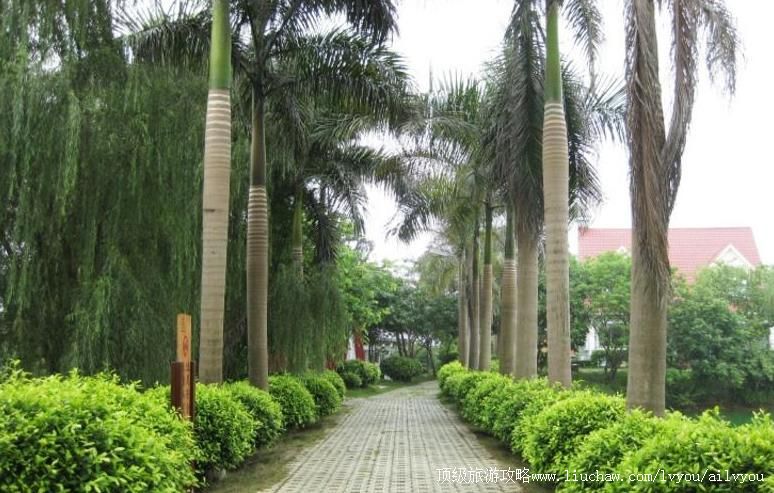 4A�������������������ι���