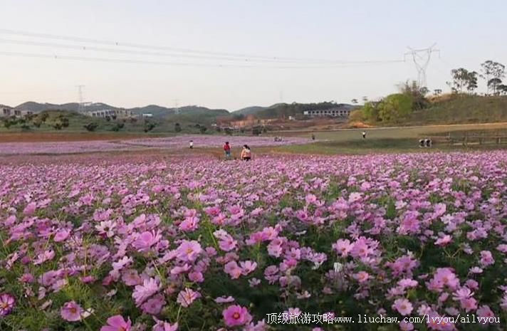 4A���������ǹ���ӣ��԰���ι���