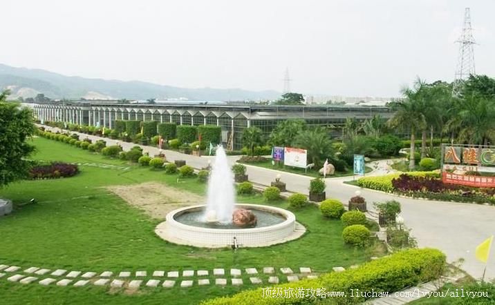 4A广西南宁八桂田园旅游攻略