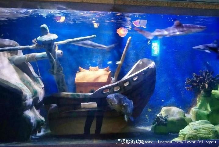 3A广西南宁海底世界旅游攻略