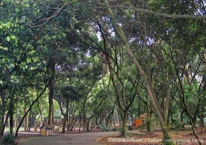 3A�������ｭ����ɭ�ֹ�԰���ι���