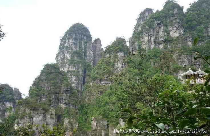 广西金秀大瑶山风景区旅游攻略