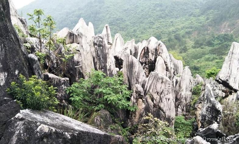 4A广西贺州玉石林风景区旅游攻略