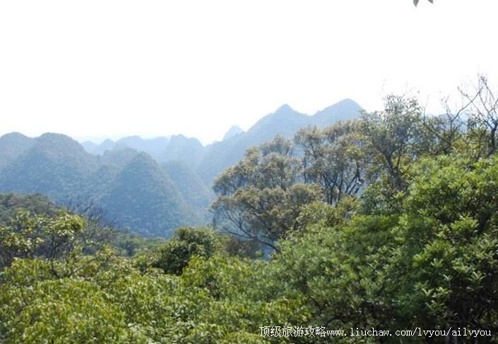 ����ľ�۹��Ҽ���Ȼ���������ι���