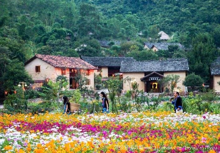 4A�����ϵ����˼�Ȱ׿�������԰���ι���