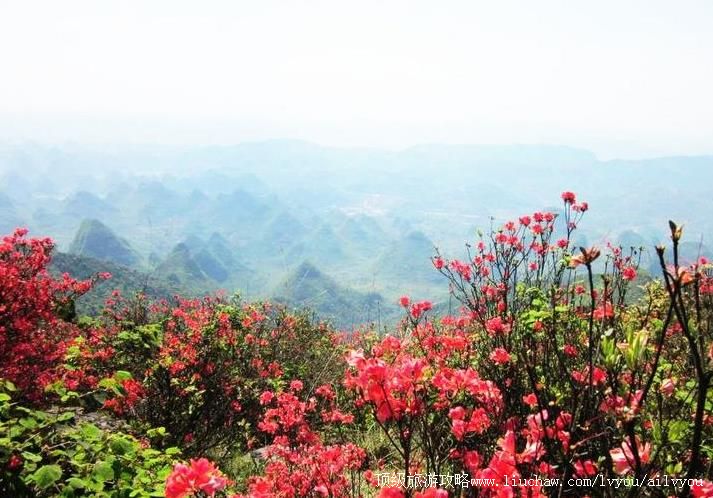 �������ִ��̹�ɽ���ι���