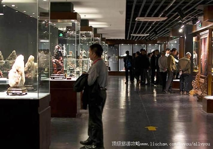 3A�������ּ�Ѫ���Ļ������������ι���