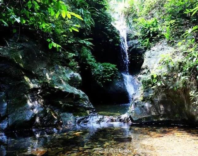 4A����ƽ��ɽ����ɭ�ֹ�԰���ι���