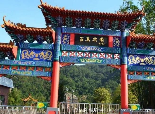 4A广西上思百鸟乐园旅游攻略