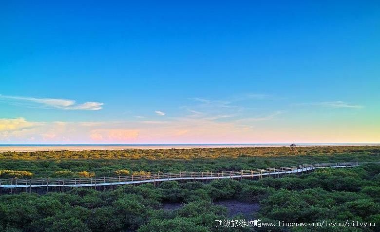 4A广西北海金树湾红树林生态旅游区旅游攻略
