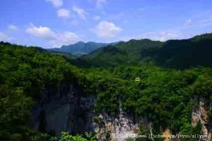 广西雅长兰科植物国家级自然保护区旅游攻略