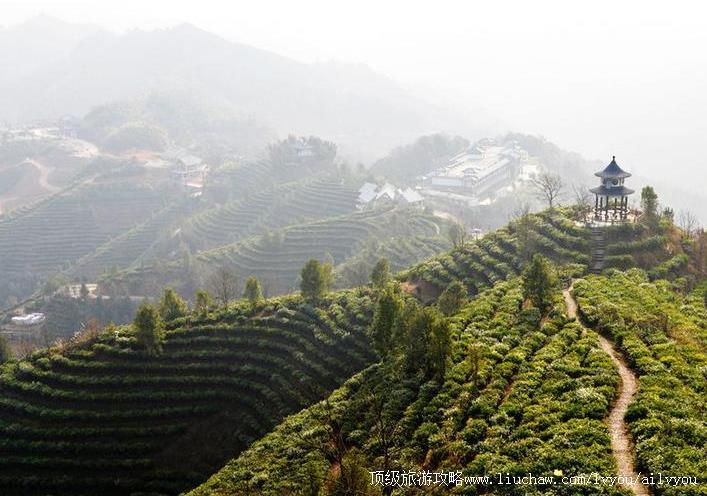 4A�������Ʋ�ɽ���������ι���