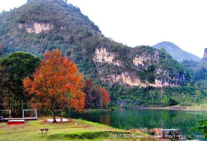 4A广西百色德保红叶森林公园旅游攻略