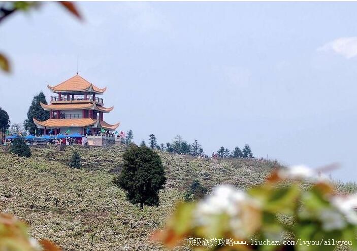 3A重庆渝北放牛坪景区旅游攻略