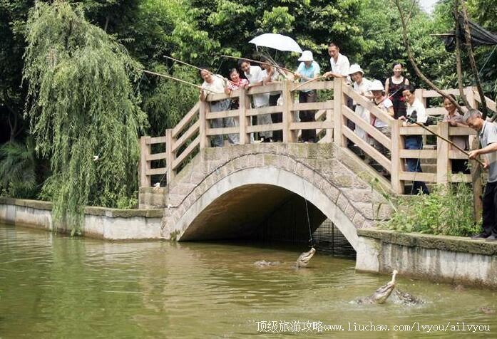 3A重庆市鳄鱼中心旅游攻略