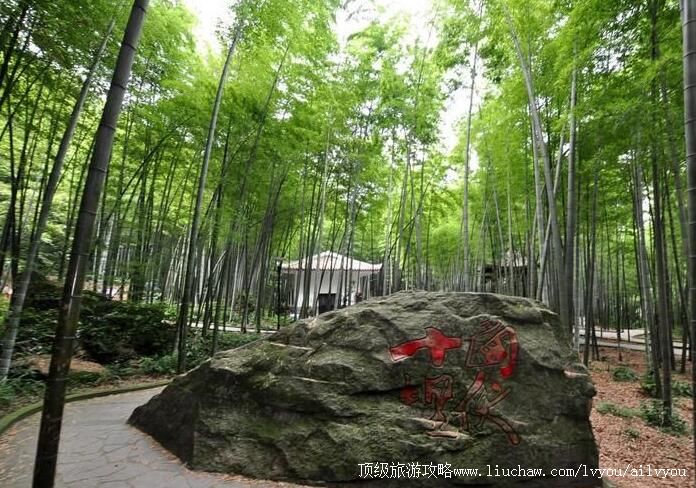 4A重庆永川茶山竹海旅游景区旅游攻略