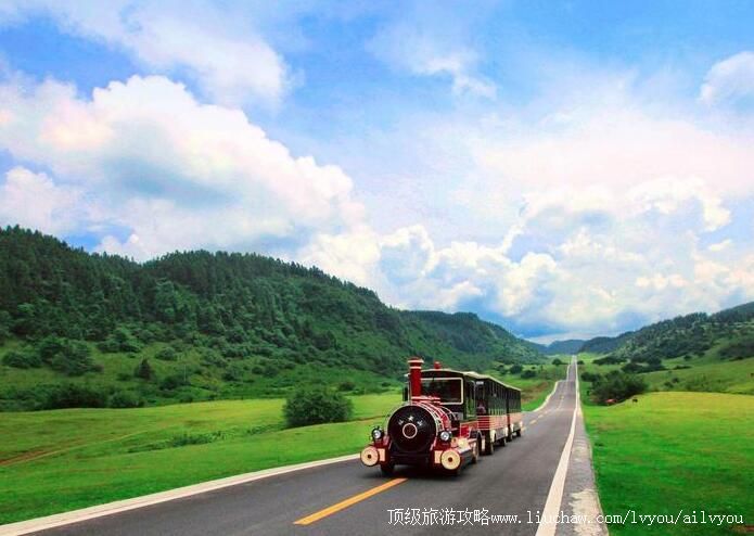 5A������Ůɽ����ɭ�ֹ�԰���ι���