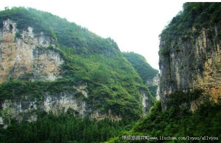 ����̶�Ͽ�羰��ʤ�����ι���