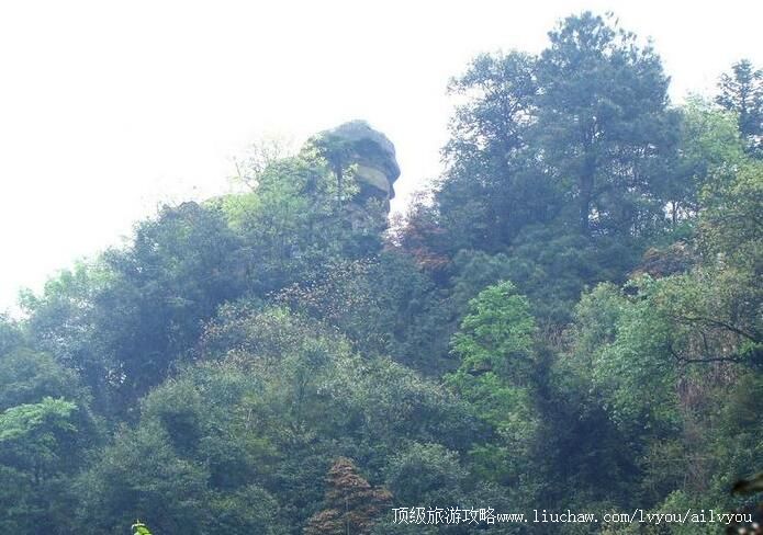重庆巴岳山―西温泉风景区旅游攻略