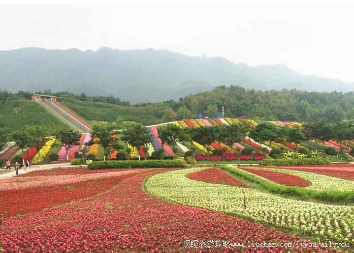 4A重庆铜梁黄桷门奇彩梦园旅游攻略