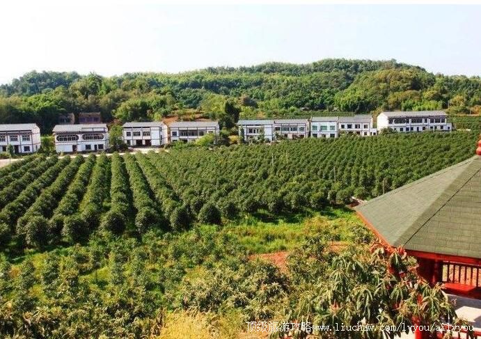 3A重庆铜梁桂花博览园旅游攻略