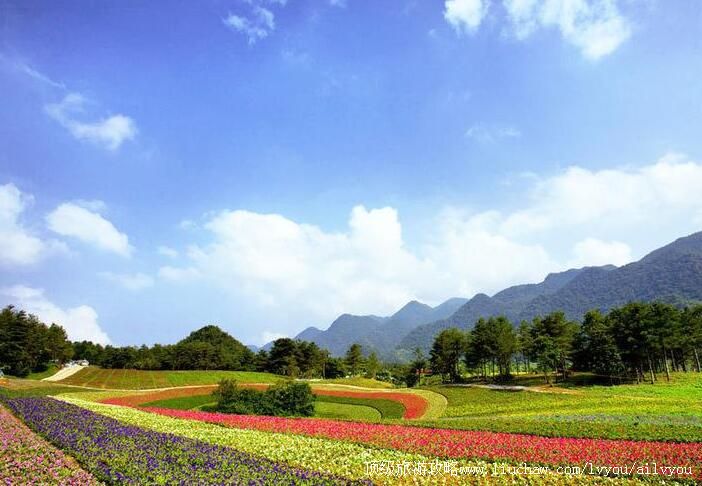 4A重庆巫溪红池坝风景区旅游攻