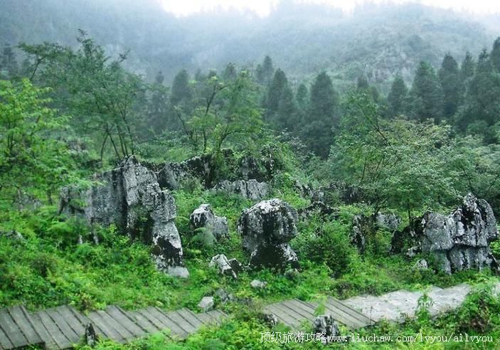 4A重庆彭水摩围山旅游攻略