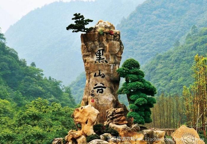 5A������ʢ��ɽ�����ι���