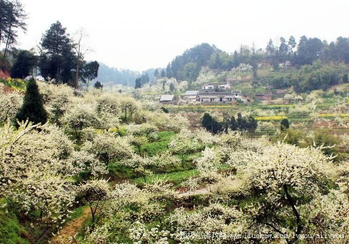 3A�����뽭�����滨ɽ���ι���